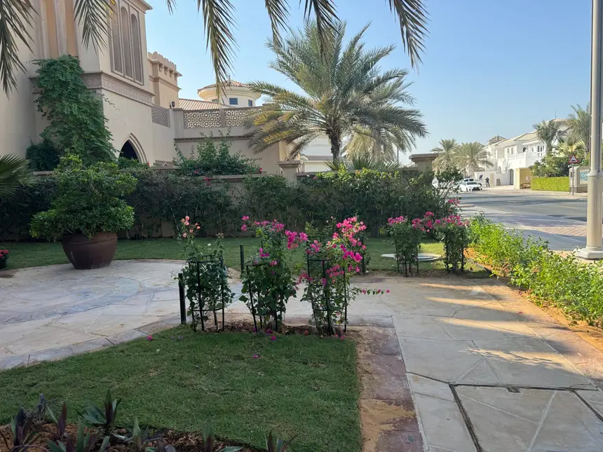 Bougainvillea and palms at a villa entrance — Softscape and Plantation project photo, Dubai