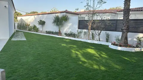 Sloping lawn with stone steps and palms — villa garden, Dubai