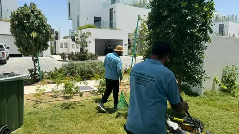 Garden Maintenance service in Dubai by Green Heaven Landscape