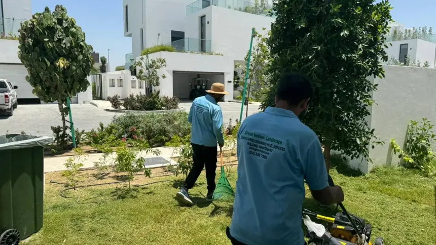 Landscapers servicing a residential lawn in Dubai
