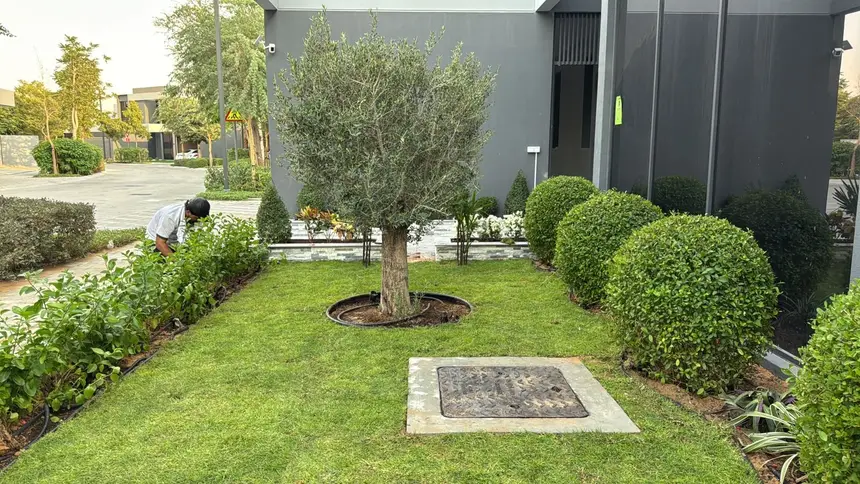 Lawn kept tight around stone paving and clipped hedges — Garden Maintenance project photo, Dubai